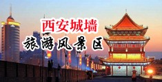 操白浆中国陕西-西安城墙旅游风景区