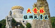 熟妇骚逼高清视频中国浙江-绍兴大香林旅游风景区